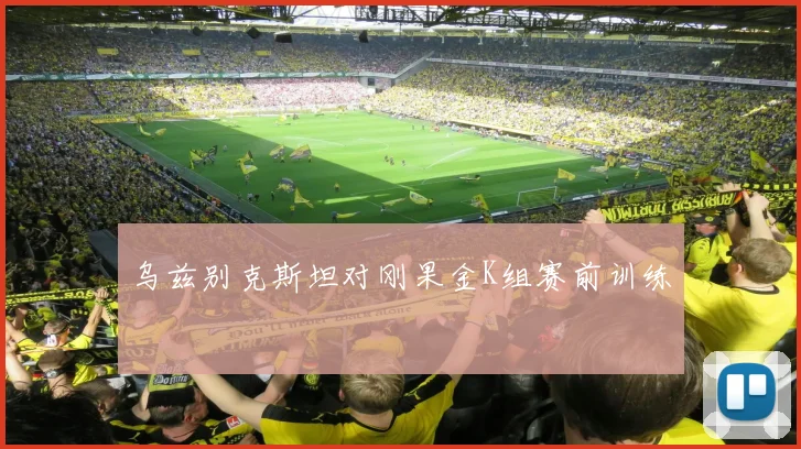 乌兹别克斯坦对刚果金K组赛前训练