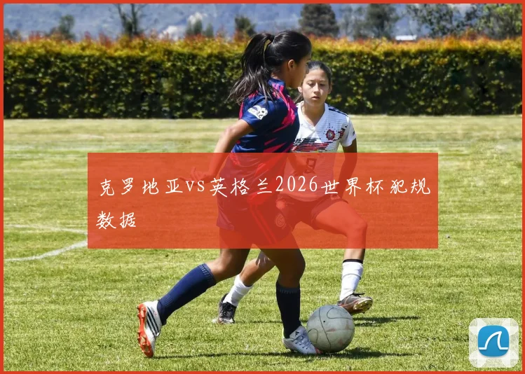 克罗地亚vs英格兰2026世界杯犯规数据